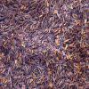 the_rouge_rooibos_bio_fermente_949523934
